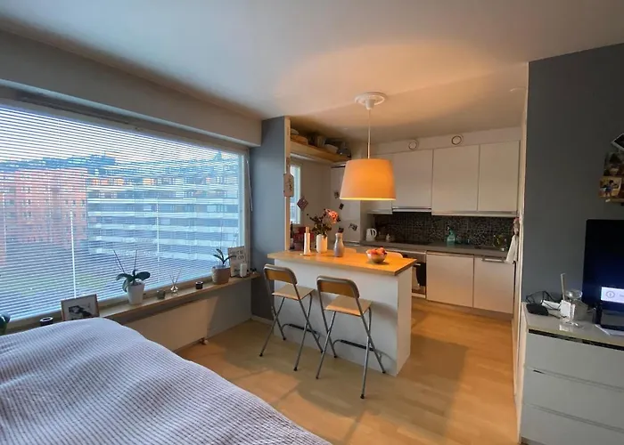 Cozy In Punavuori דירה הלסינקי